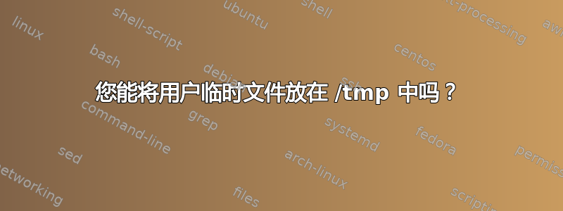 您能将用户临时文件放在 /tmp 中吗？