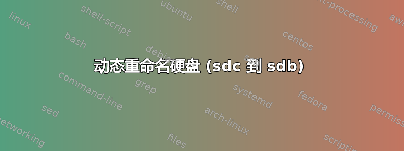 动态重命名硬盘 (sdc 到 sdb)