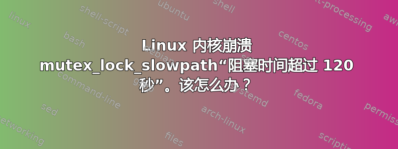 Linux 内核崩溃 mutex_lock_slowpath“阻塞时间超过 120 秒”。该怎么办？