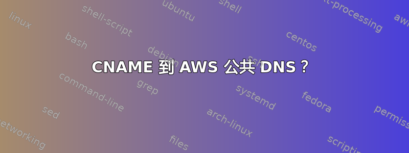 CNAME 到 AWS 公共 DNS？