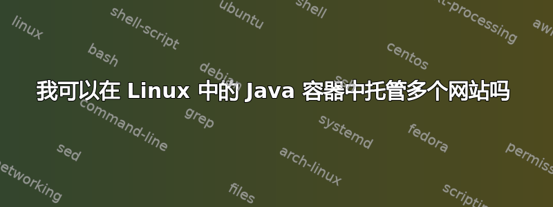 我可以在 Linux 中的 Java 容器中托管多个网站吗