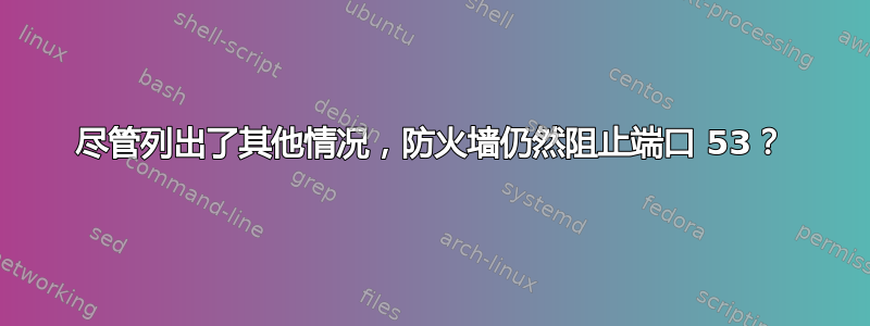 尽管列出了其他情况，防火墙仍然阻止端口 53？