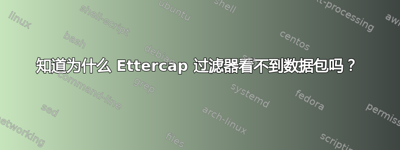 知道为什么 Ettercap 过滤器看不到数据包吗？