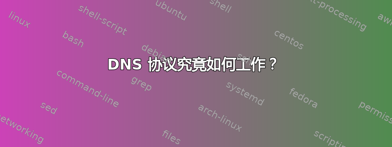 DNS 协议究竟如何工作？