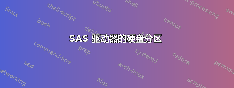 SAS 驱动器的硬盘分区