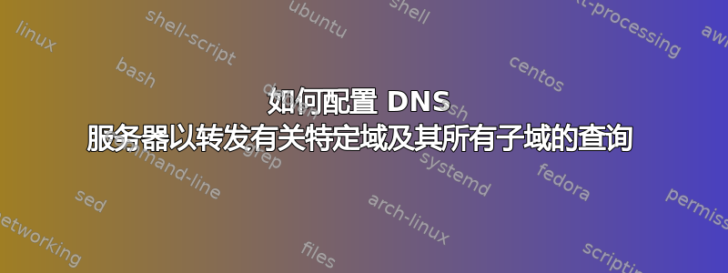 如何配置 DNS 服务器以转发有关特定域及其所有子域的查询