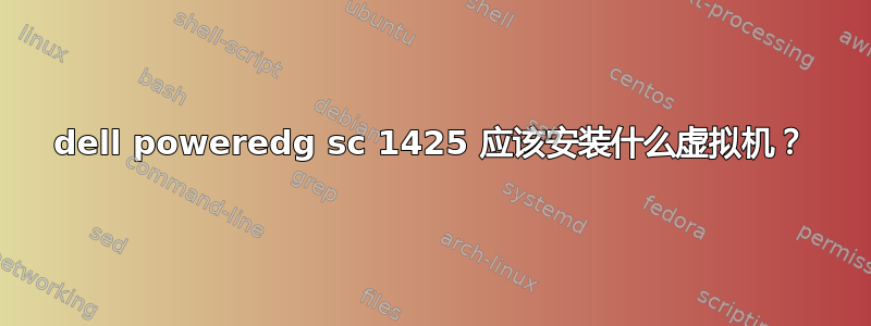 dell poweredg sc 1425 应该安装什么虚拟机？