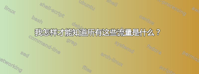 我怎样才能知道所有这些流量是什么？