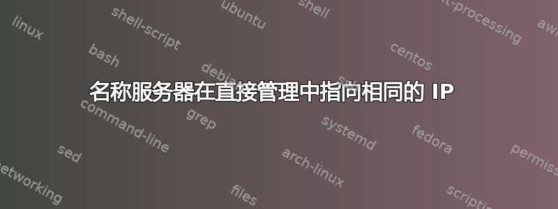 名称服务器在直接管理中指向相同的 IP 