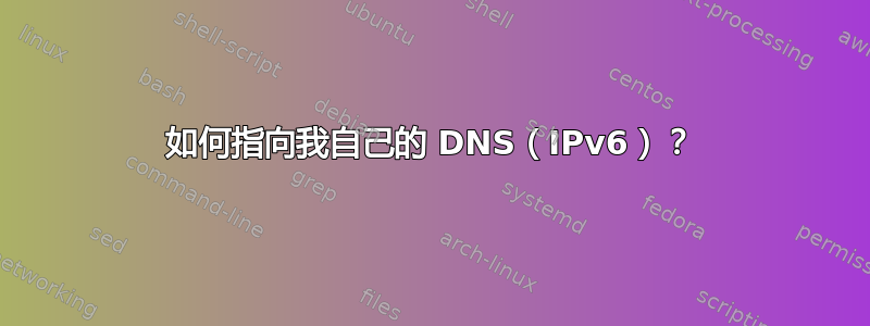 如何指向我自己的 DNS（IPv6）？