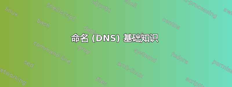 命名 (DNS) 基础知识