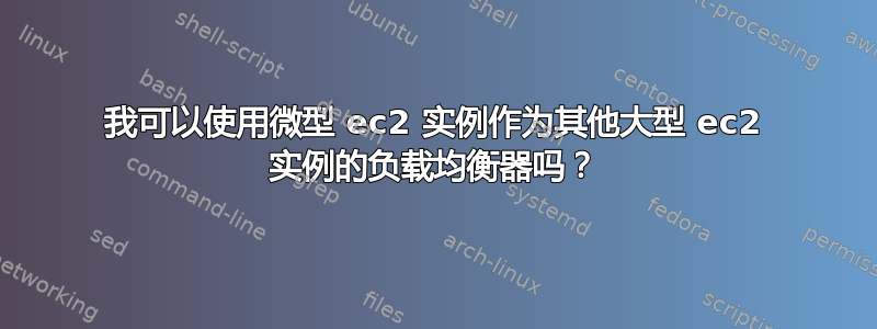 我可以使用微型 ec2 实例作为其他大型 ec2 实例的负载均衡器吗？