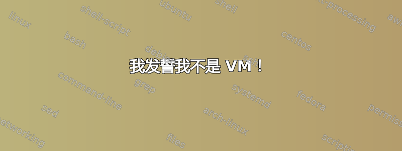 我发誓我不是 VM！