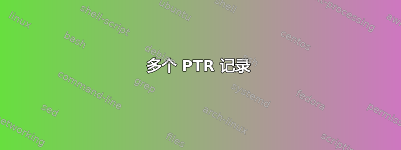 多个 PTR 记录