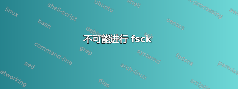 不可能进行 fsck