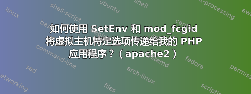 如何使用 SetEnv 和 mod_fcgid 将虚拟主机特定选项传递给我的 PHP 应用程序？（apache2）