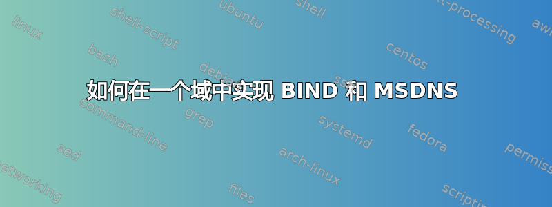 如何在一个域中实现 BIND 和 MSDNS