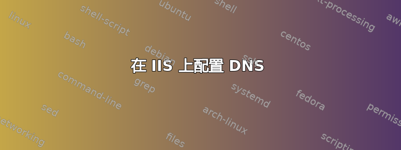 在 IIS 上配置 DNS