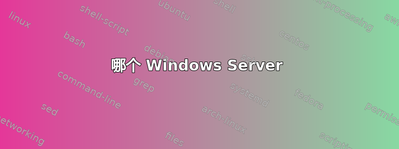 哪个 Windows Server