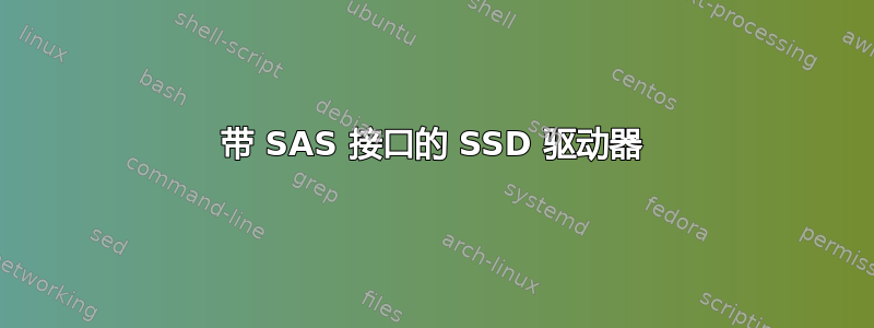 带 SAS 接口的 SSD 驱动器