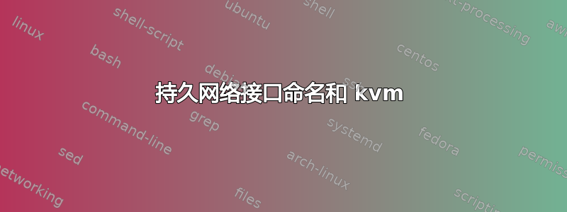 持久网络接口命名和 kvm