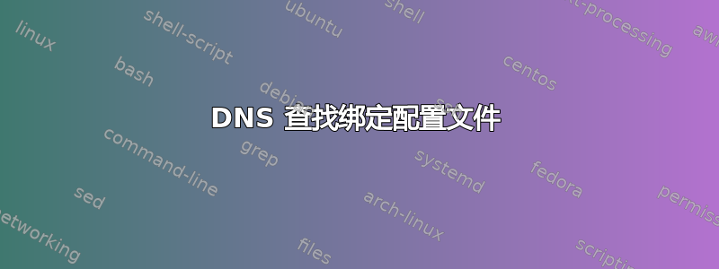 DNS 查找绑定配置文件