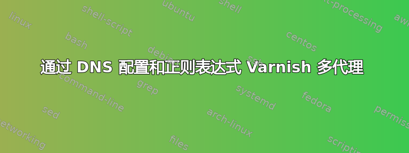 通过 DNS 配置和正则表达式 Varnish 多代理