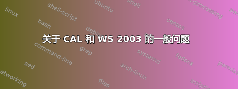 关于 CAL 和 WS 2003 的一般问题 