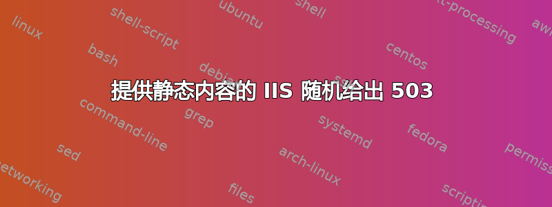 提供静态内容的 IIS 随机给出 503