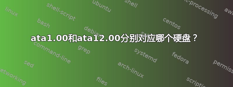 ata1.00和ata12.00分别对应哪个硬盘？