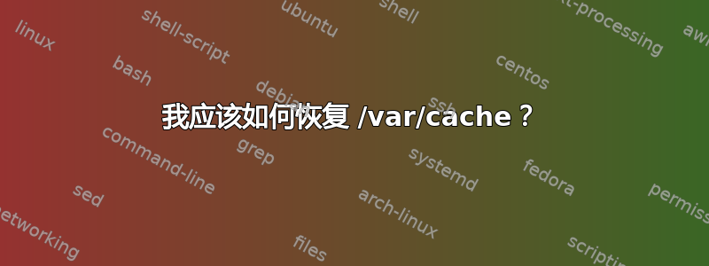 我应该如何恢复 /var/cache？