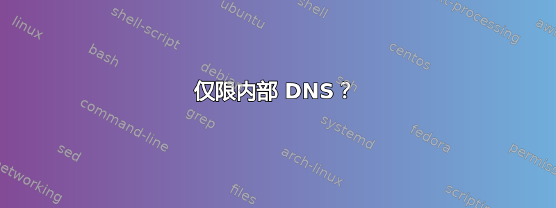 仅限内部 DNS？