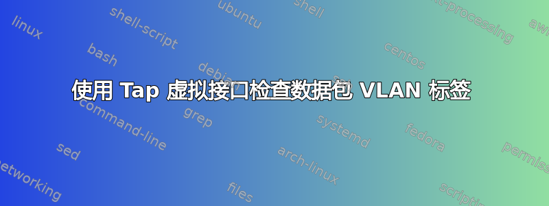 使用 Tap 虚拟接口检查数据包 VLAN 标签