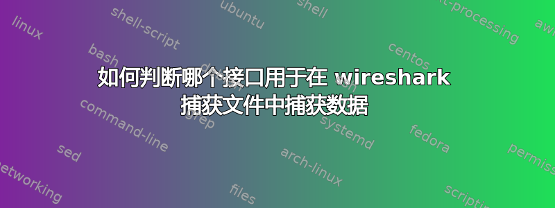 如何判断哪个接口用于在 wireshark 捕获文件中捕获数据