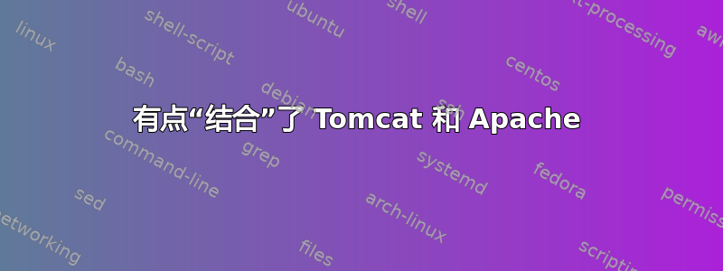 有点“结合”了 Tomcat 和 Apache