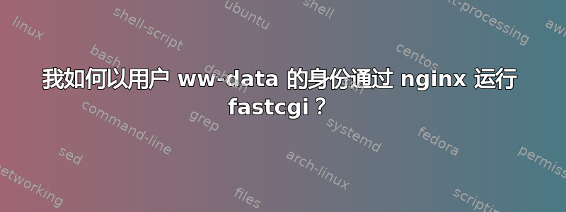 我如何以用户 ww-data 的身份通过 nginx 运行 fastcgi？