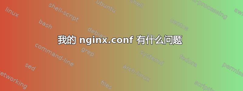 我的 nginx.conf 有什么问题