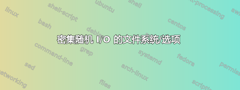 密集随机 I/O 的文件系统/选项