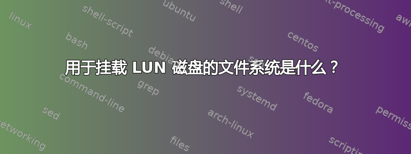 用于挂载 LUN 磁盘的文件系统是什么？