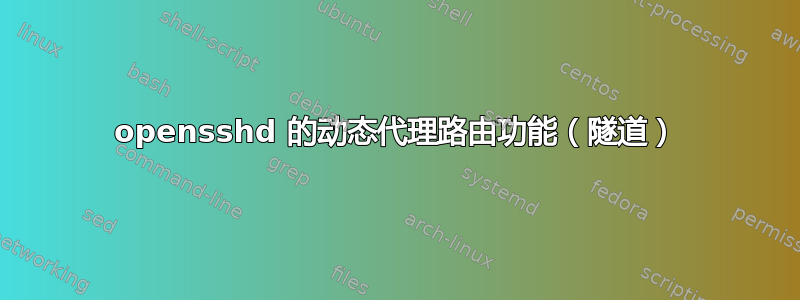 opensshd 的动态代理路由功能（隧道）