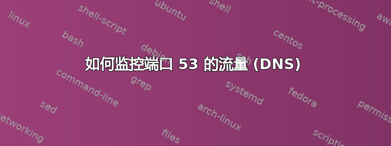 如何监控端口 53 的流量 (DNS)