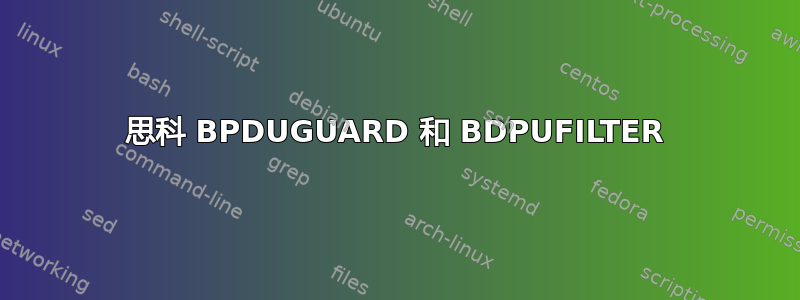 思科 BPDUGUARD 和 BDPUFILTER