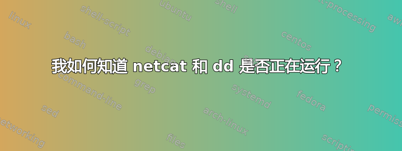 我如何知道 netcat 和 dd 是否正在运行？