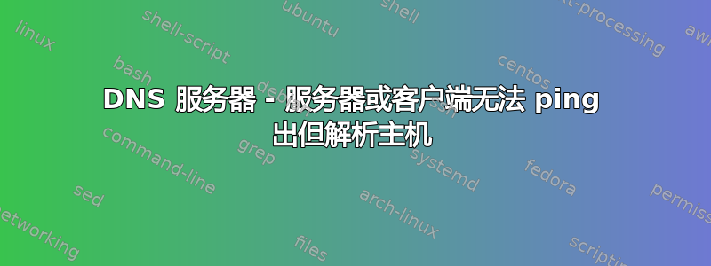 DNS 服务器 - 服务器或客户端无法 ping 出但解析主机