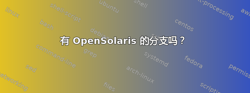 有 OpenSolaris 的分支吗？