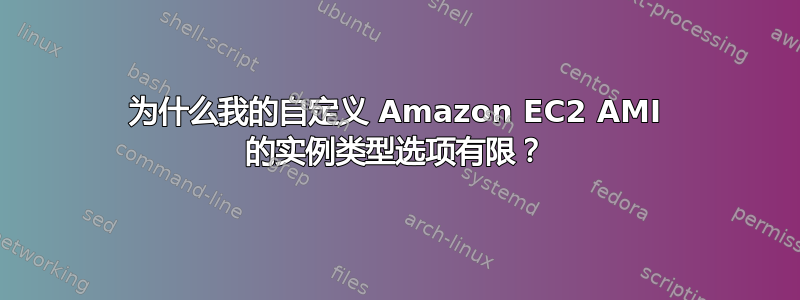 为什么我的自定义 Amazon EC2 AMI 的实例类型选项有限？