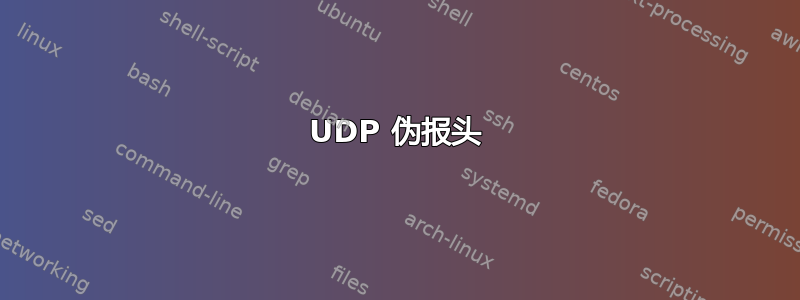 UDP 伪报头