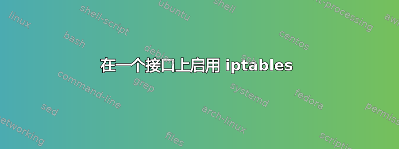 在一个接口上启用 iptables