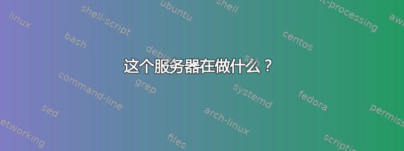 这个服务器在做什么？