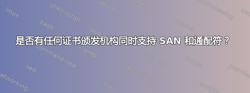 是否有任何证书颁发机构同时支持 SAN 和通配符？